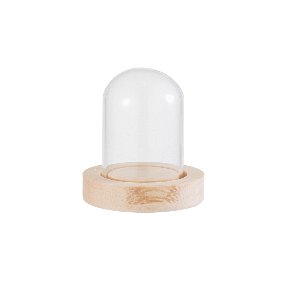Reusable Bottle - Luces Decorativas para el Hogar, Terrario,