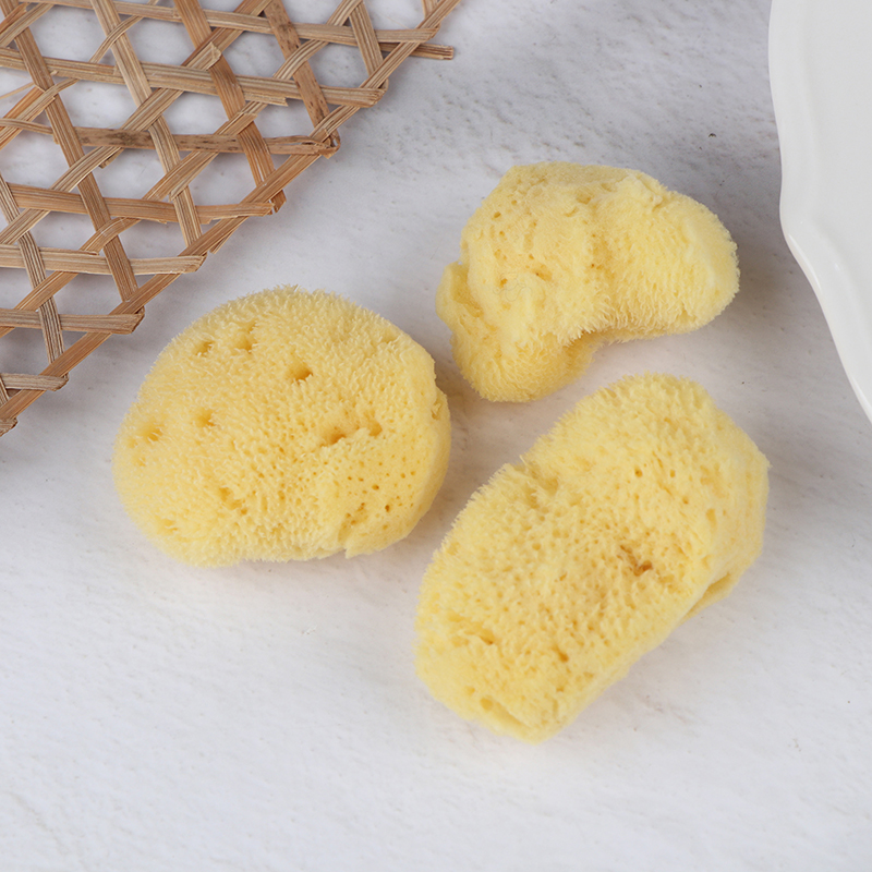 Herramienta de limpieza de pro - Eco Sponge reseña y precio