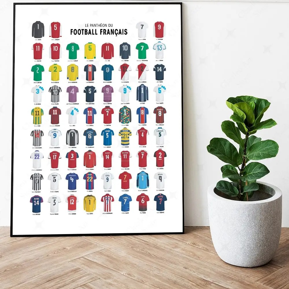 Póster de guía de tela deporti - Sustainable Living Guide reseña y precio